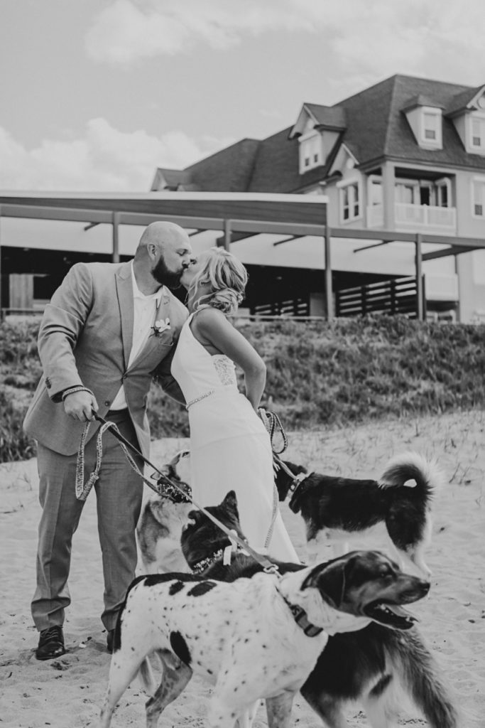 bride and groom kissing surrounded by dogs by sharon elizabeth co
