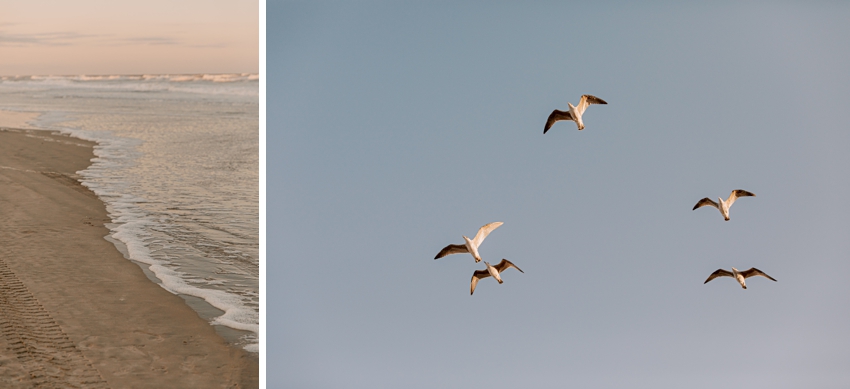 seagulls fly and ocean waves crash on the beach in corolla NC