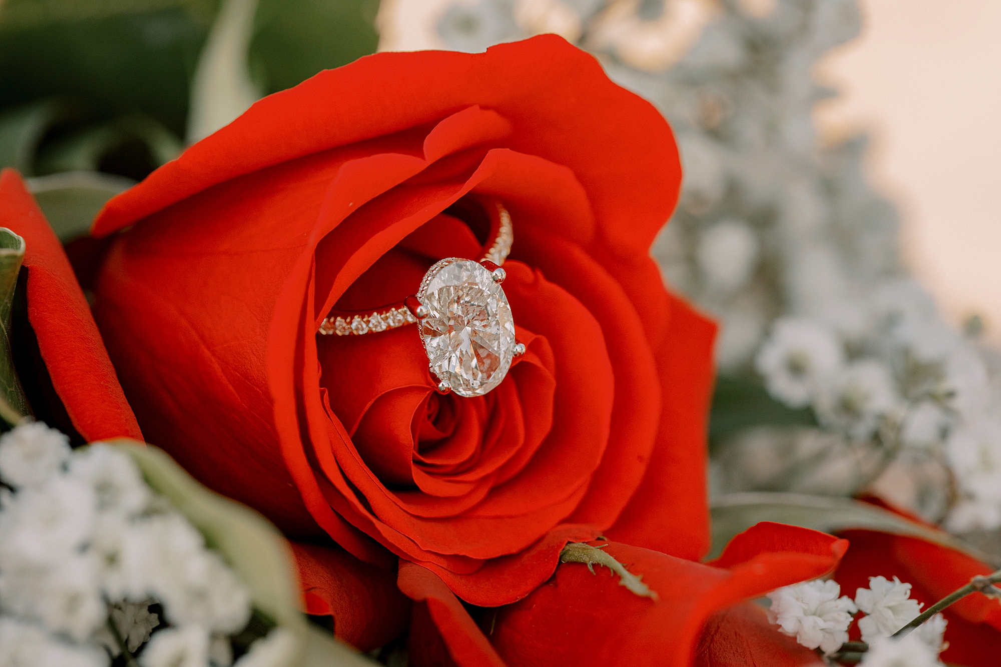 oval diamond ring rests in red rose petals of bouquet 